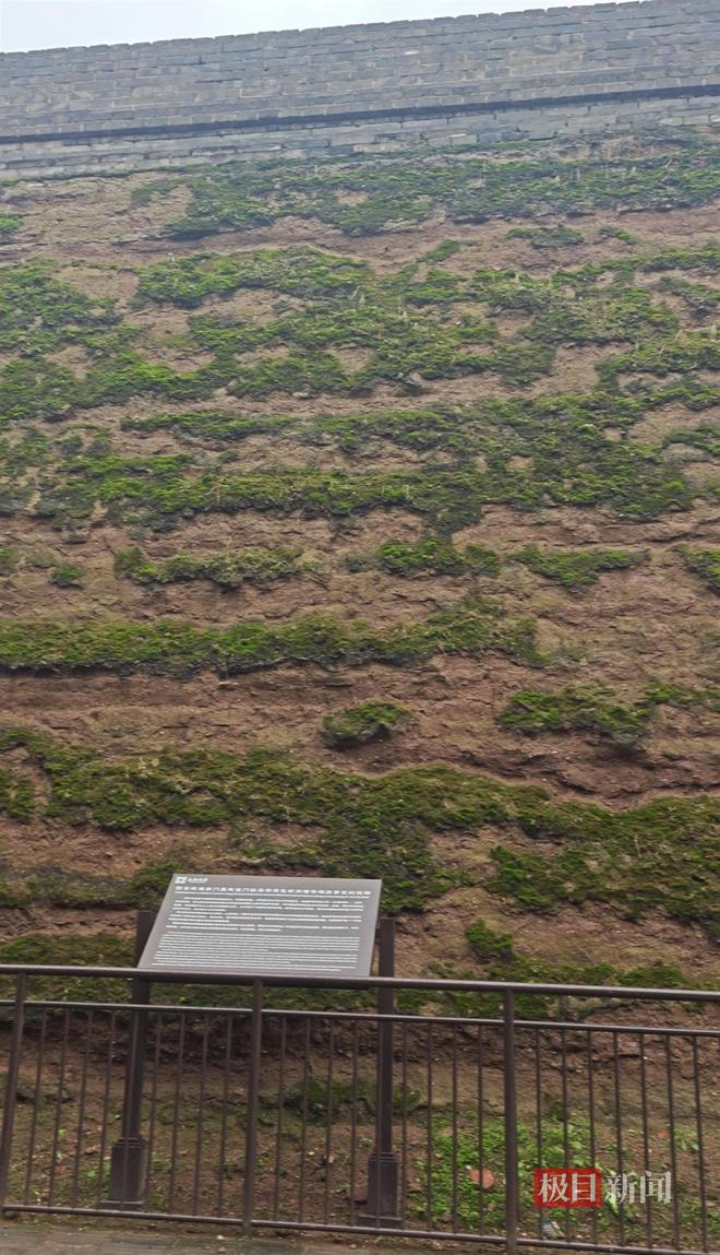 地长蘑菇大雁塔受潮城墙布满青苔气象局解释成因j9九游会真人游戏第一西安连续一个多月降雨遍(图4) 地长蘑菇大雁塔受潮城墙布满青苔气象局解释成因j9九游会真人游戏第一西安连续一个多月降雨遍(图4)